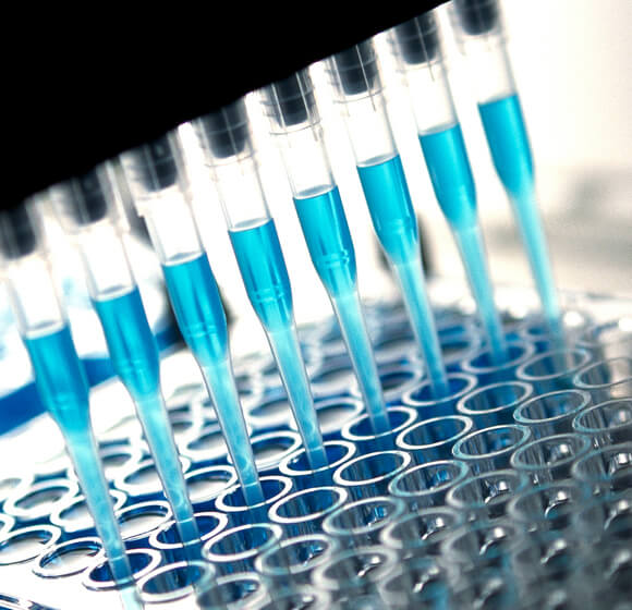 Laboratorie